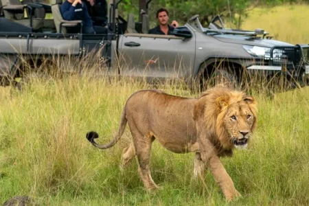 Lero safaris Uganda: Front row access to Kenya & Tanzania’s spectacle Lero safaris Uganda: Akagera National Park: Lero Safaris Uganda