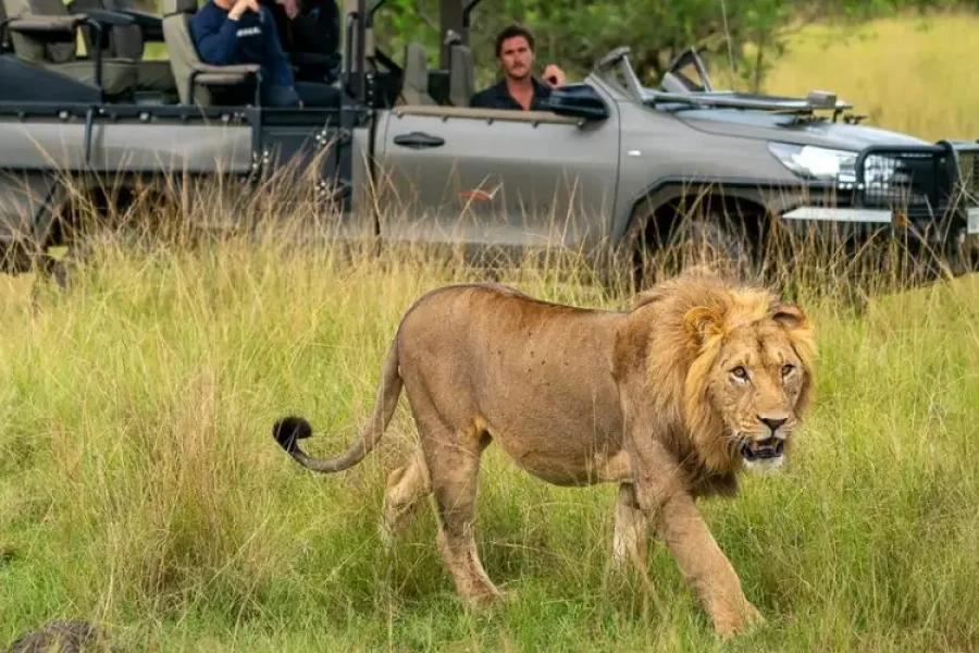 Lero safaris Uganda: Front row access to Kenya & Tanzania’s spectacle Lero safaris Uganda: Akagera National Park: Lero Safaris Uganda