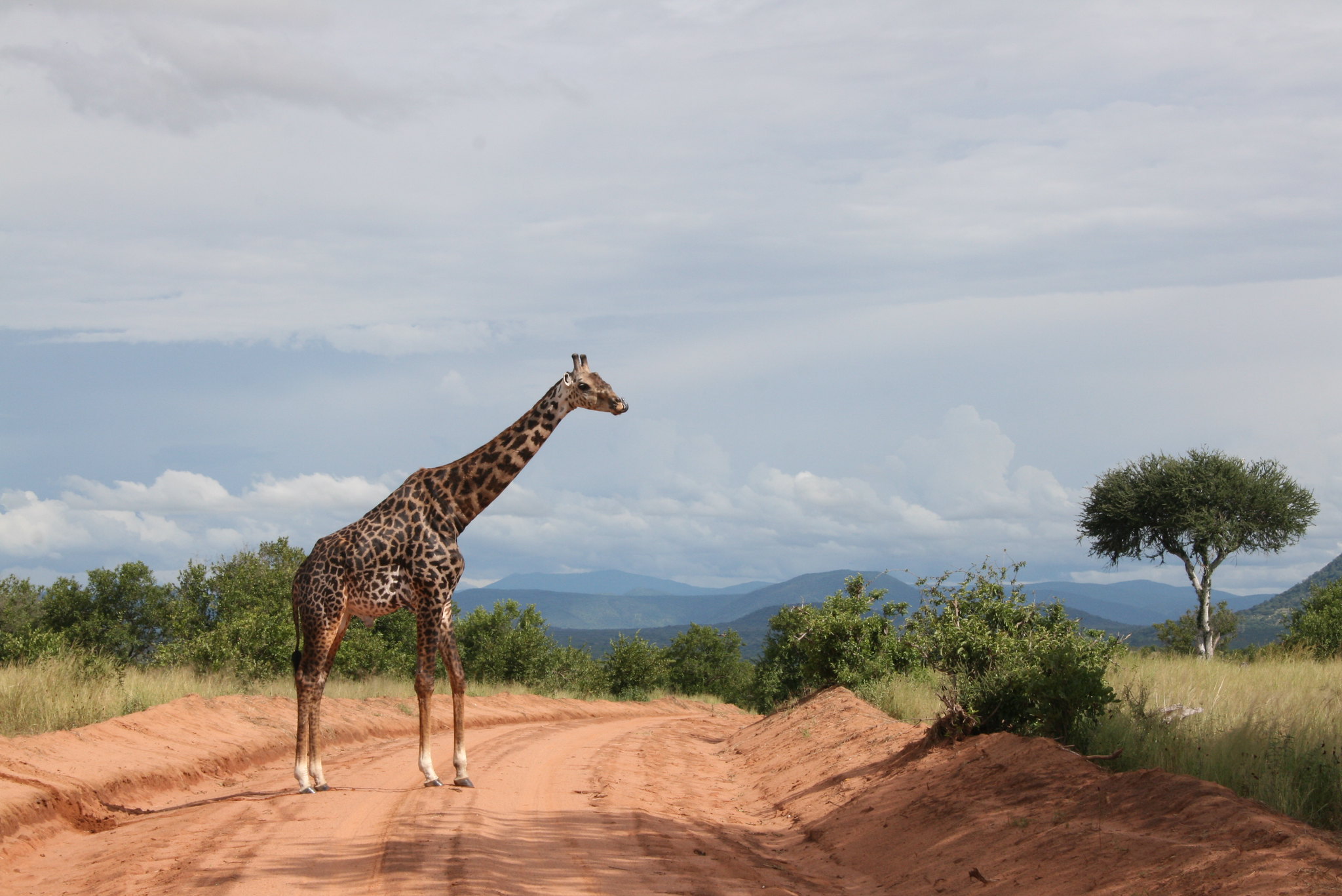 Tanzania